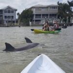 1 guided kayak eco tour in pelican bay Guided Kayak Eco Tour in Pelican Bay