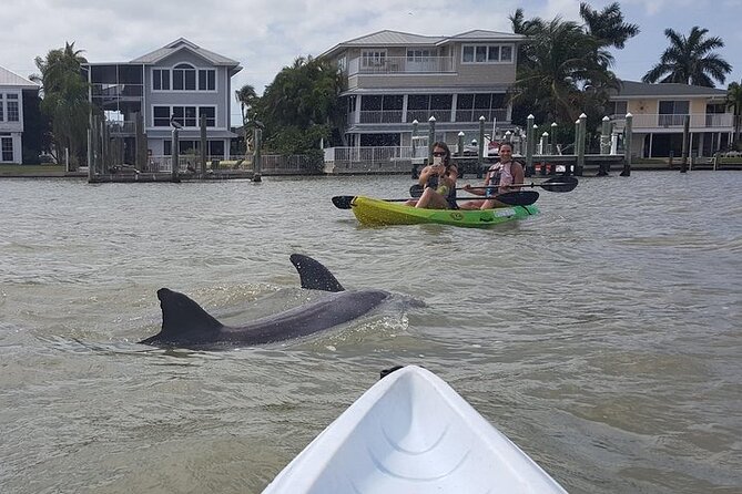 Guided Kayak Eco Tour in Pelican Bay