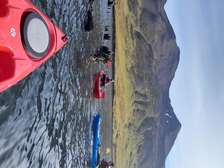 Guided Kayak Tour in Siglufjörður / Siglufjordur.