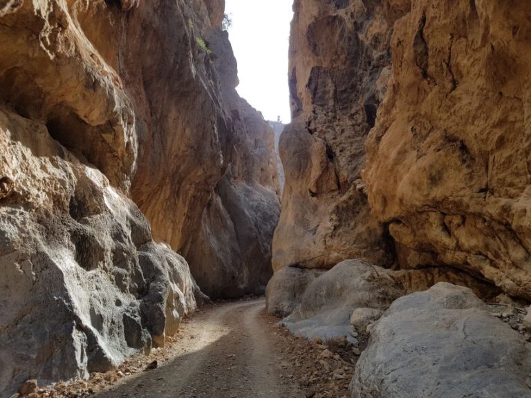 Guided Safari South Crete & Tripitis Gorge