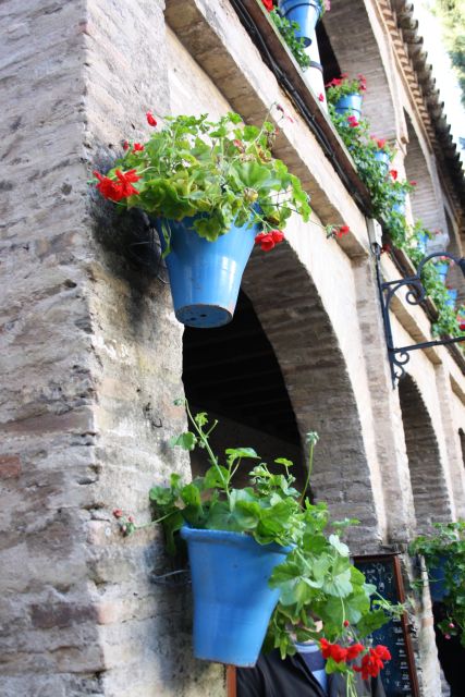 Guided Tour in Spanish to the Courtyards of Cordoba