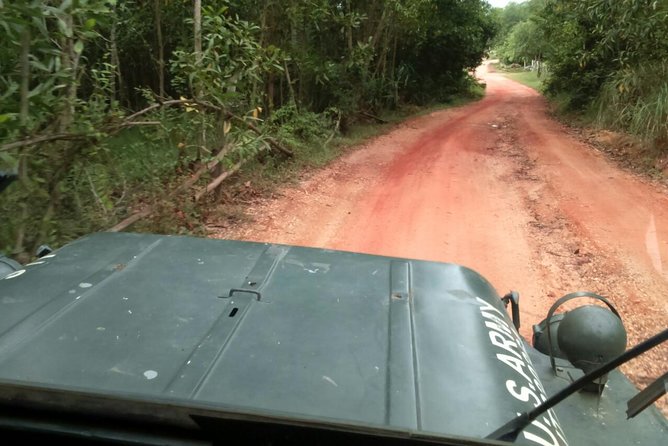 Half Day My Son Holy Land by Jeep From Hoi an - Key Points