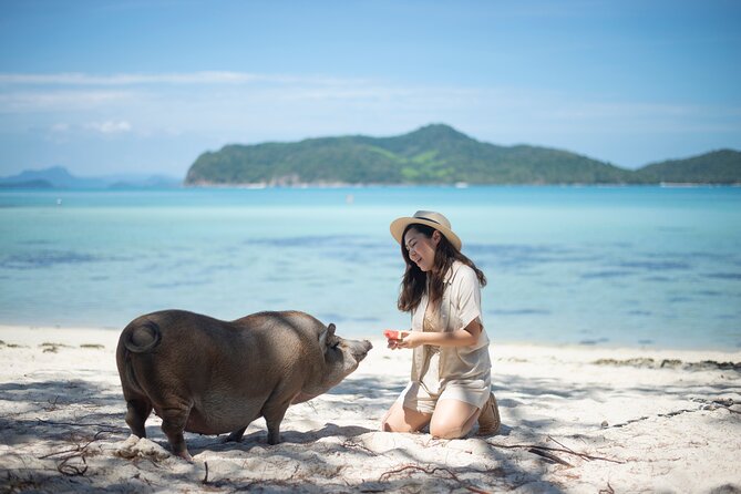 Half-Day Pig Island (Koh Madsum) and Koh Tan Speedboat Tour