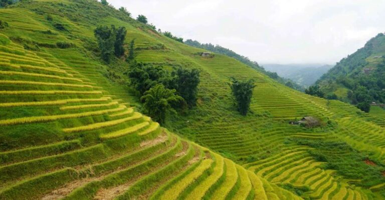 Half Day Sapa Trekking to Visit Lao Chai – Ta Van