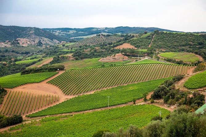 Half Day Tour Chianti Winery With San Gimignano