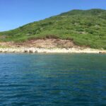 1 half day tour snorkeling in nha trang bay included lunch Half Day Tour Snorkeling in Nha Trang Bay Included Lunch