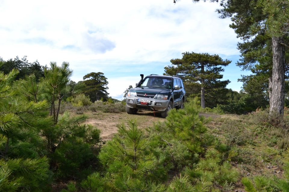 1 halkidiki kassandra 4x4 jeep safari off road Halkidiki: Kassandra 4x4 Jeep Safari Off-Road Experience