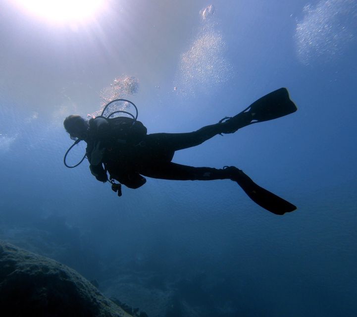 Hersonissos, Stalida: Beginner Scuba Diving Experience