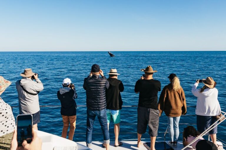 Hervey Bay: Exclusive Whale Watch Encounter