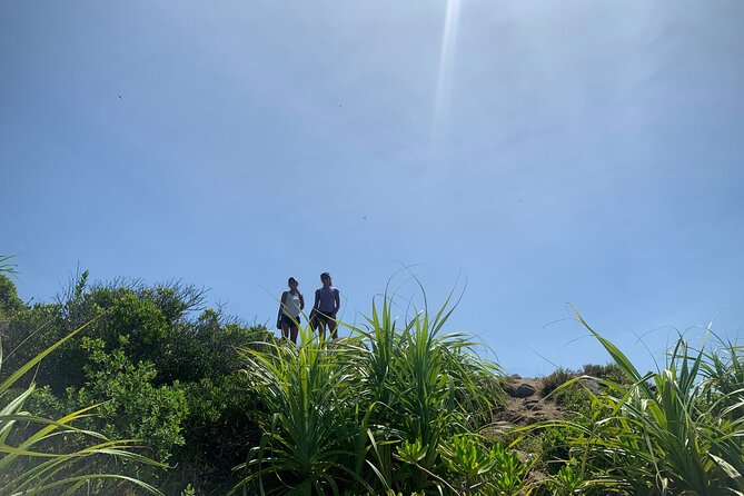 Hiking in Tropical Forest of Son Tra - 3hours Version - Group Dynamics and Interactions