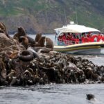 1 hobart bruny island wilderness coast eco cruise with lunch Hobart: Bruny Island Wilderness Coast Eco Cruise With Lunch