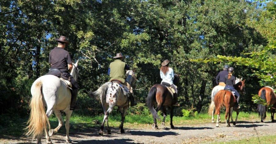 Horse Riding Through the Valleys + Food Tasting