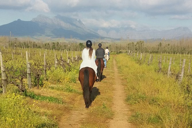 Horse Riding Wildlife Safari