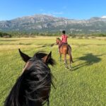 1 horseback riding experience with transport from dubrovnik Horseback Riding Experience With Transport From Dubrovnik