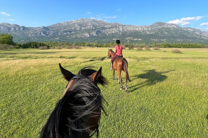 1 horseback riding experience with transport from dubrovnik Horseback Riding Experience With Transport From Dubrovnik