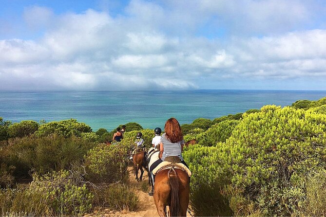 Horseback Riding in Parque Natural Doñana, Sevilla