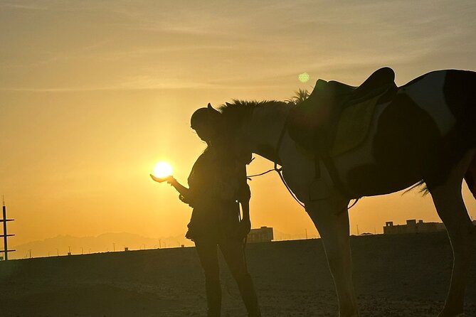 1 hurghada red sea coast horseback riding tour Hurghada: Red Sea Coast Horseback Riding Tour