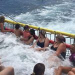 1 huskisson dolphin cruise boom netting experience Huskisson: Dolphin Cruise & Boom Netting Experience