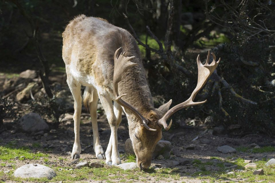 Is Cannoneris Nature Reserve Walking and Jeep Private Tour - Important Details