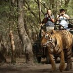 1 jaipur to ranthambore national park day tour all inclusive Jaipur to Ranthambore National Park Day Tour - All Inclusive