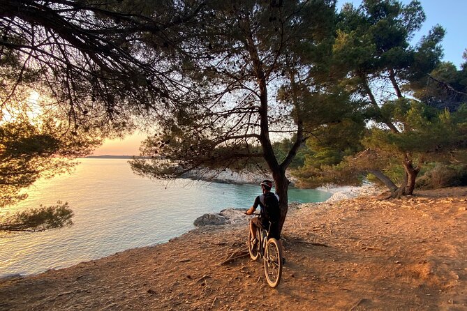 Kamenjak Peninsula Bike Tour and Optional Wine Tasting From Pula