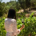 1 kefalonia wine adventure in 3 wineries with tastings 2 Kefalonia Wine Adventure in 3 Wineries With Tastings