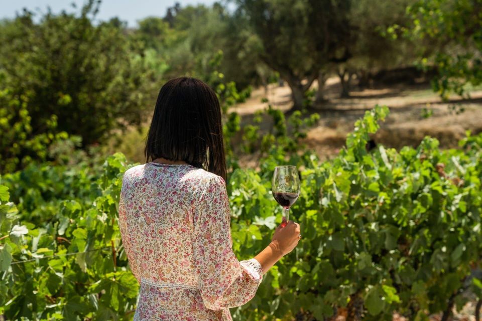 1 kefalonia wine adventure in 3 wineries with tastings 2 Kefalonia Wine Adventure in 3 Wineries With Tastings