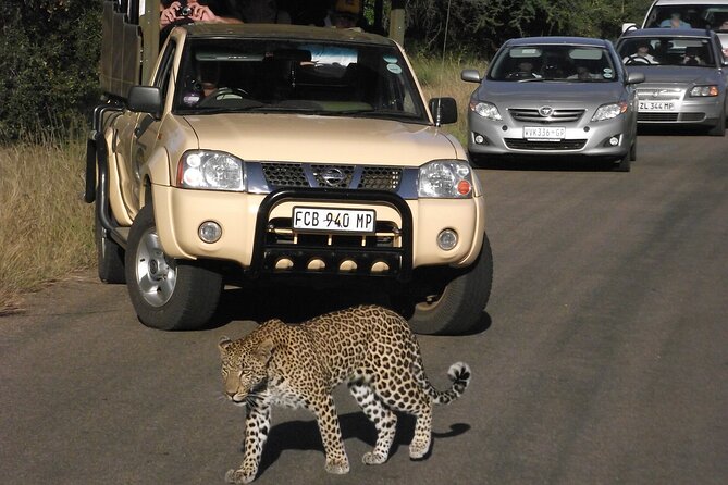 Kruger Park Safari Private Full-Day Tour From Marloth Park