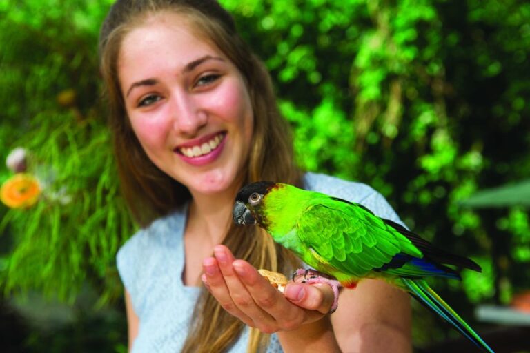 Kuranda: Birdworld Entry Ticket