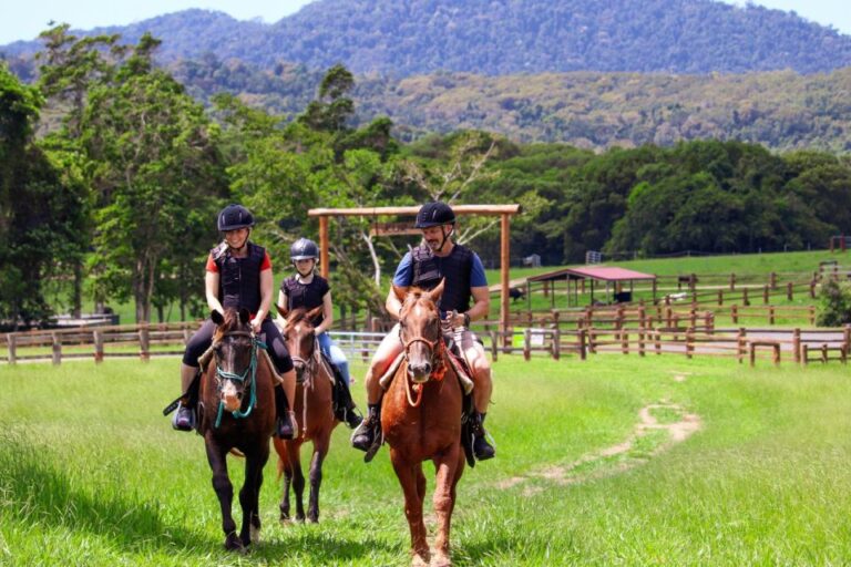 Kuranda Half Day With Petting Zoo & Horse Trail Ride Tour