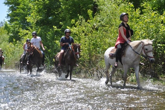 Kusadasi Horse Safari