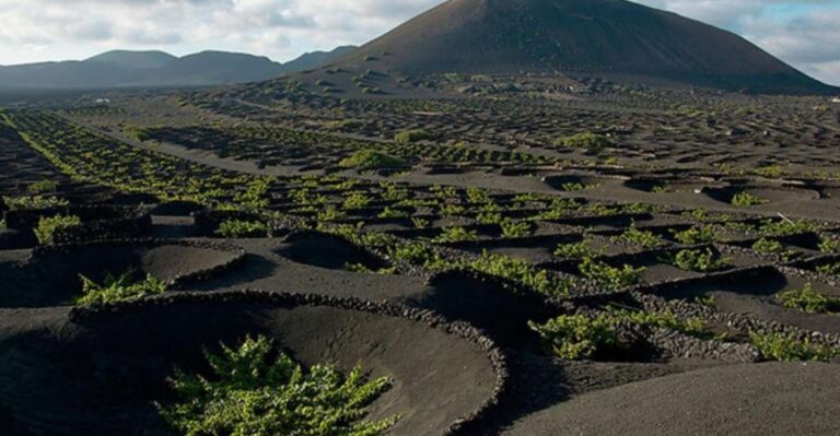 Lanzarote: Full Day Bus Tour With Scenic Views