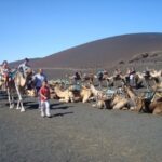 1 lanzarote timanfaya national park tour Lanzarote: Timanfaya National Park Tour