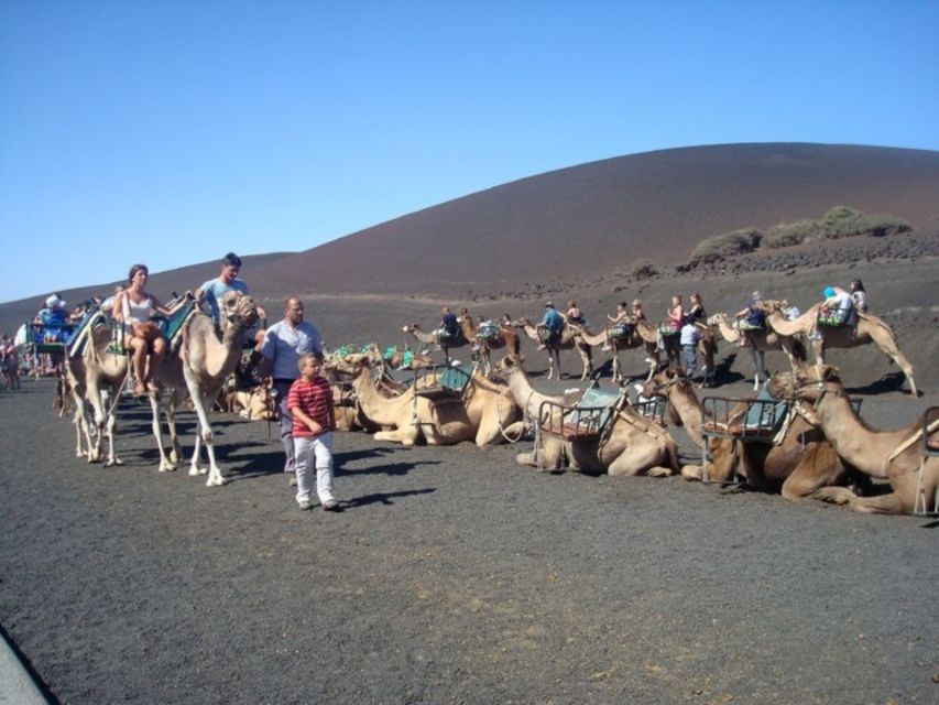 Lanzarote: Timanfaya National Park Tour