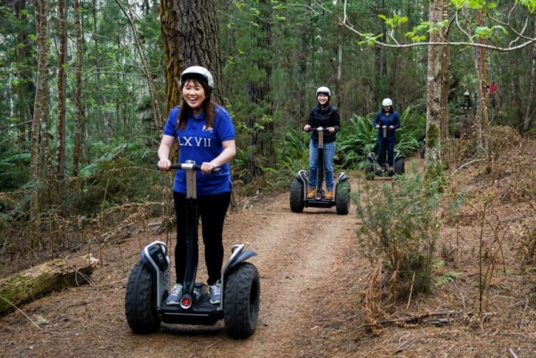 Launceston: Hollybank Forest Guided Segway Tour