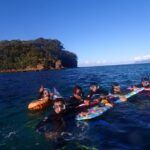 1 leigh goat island guided snorkeling tour for beginners Leigh: Goat Island Guided Snorkeling Tour for Beginners