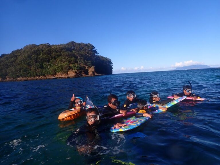 Leigh: Goat Island Guided Snorkeling Tour for Beginners