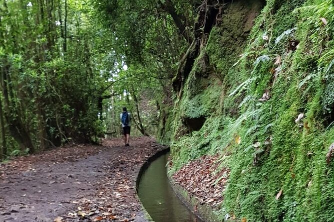 Levada Do Rei - Ribeiro Bonito (Full Day Walk) - Pickup Information