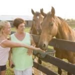 1 lexington horse farm tour and keeneland race track visit Lexington: Horse Farm Tour and Keeneland Race Track Visit