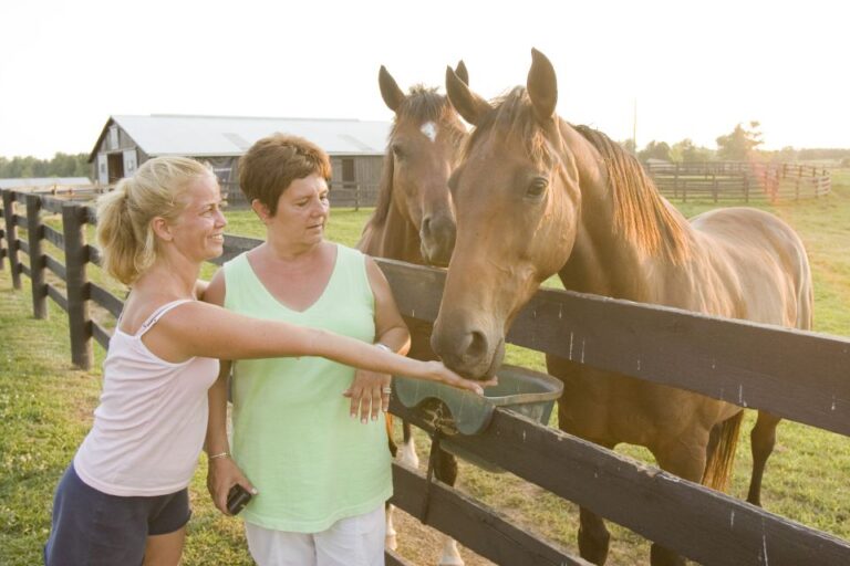 Lexington: Horse Farm Tour and Keeneland Race Track Visit