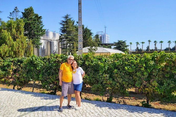 Lisbon & The South Side Wine Regions Private Luxury Tour - Booking Details