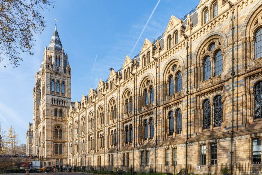 London: Natural History Museum Tour