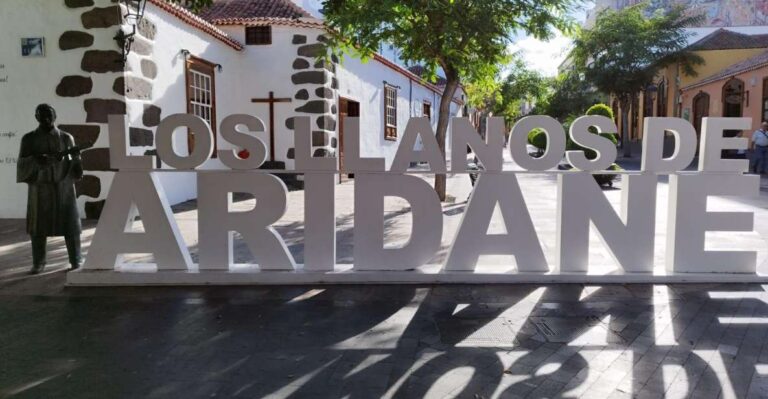 Los Llanos De Aridane: Guided Walking Tour With Open Air Museum