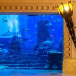 1 lost chamber aquarium in dubai Lost Chamber Aquarium in Dubai