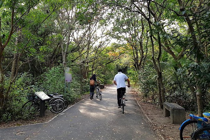 Lost in Bangkok : Green Lung Jungle Bicycle Ride With Lunch