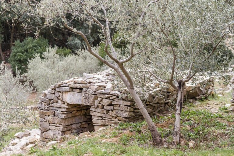 Luberon: Plague Wall Bike Ride