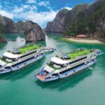 1 luxury 1 day halong bay 8 hours 5cruise limousine kayak relax Luxury 1 Day Halong Bay 8 Hours 5*Cruise Limousine Kayak Relax