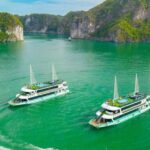1 luxury cruise w free kayak cooking class caves lunch Luxury Cruise W/ Free Kayak, Cooking Class, Caves, Lunch