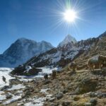 1 luxury everest base camp trek 4 Luxury Everest Base Camp Trek