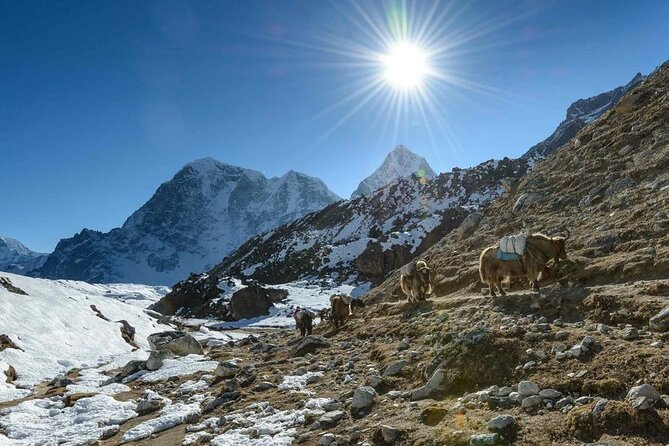 1 luxury everest base camp trek 4 Luxury Everest Base Camp Trek